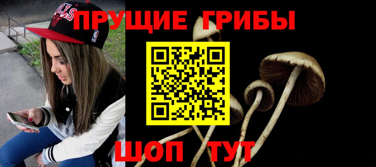 Мирный  Псилоцибиновые грибы мухоморы  Вход с VPN 